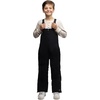 image:imageLands End Boys Squall Waterproof Iron Knee Bib Snow PantsBlack