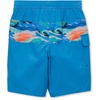 image:imageLands End Boys Chlorine Resistant Cargo Long Board ShortSunset WavesBlue