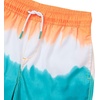 image:imageLands End Boys Print Swim TrunksOrange Pop Ombre