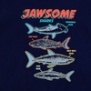 image:imageLands End Boys Short Sleeve Tee and Shorts Pajama SetSharksBlue Tie Dye