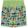 image:imageLands End Boys Stretch Hydroliner Sport Swim TrunkCali SurfJade Lime