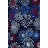image:imageLands End Boys Stretch Hydroliner Sport Swim TrunkRedWhiteBlue Fireworks
