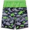 image:imageLands End Boys Stretch Hydroliner Sport Swim TrunkSharksGrayGreen
