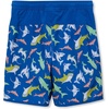 image:imageLands End Boys Stretch Hydroliner Sport Swim TrunkSharksNeon Blue