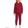 image:imageLands End School Uniform Kids Hooded Pullover SweatshirtGarnet