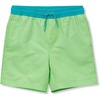 Electric Lime