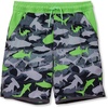 Sharks/Gray/Green