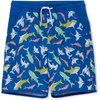 Sharks/Neon Blue