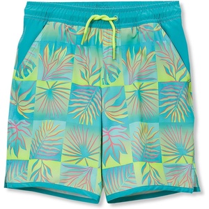image:imageLands End Boys Stretch Hydroliner Sport Swim TrunkPalm CheckTealLime