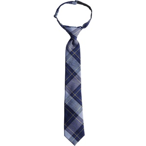 image:imageLands End School Uniform Kids Pre Tied TieClassic Navy Plaid