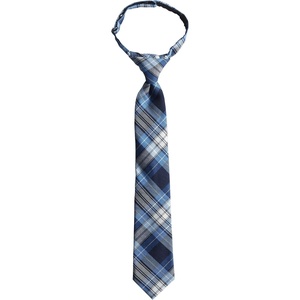 image:imageLands End School Uniform Kids Pre Tied TieClear Blue Plaid