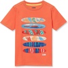 Surfboard/Coral