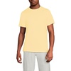 Pale Sunbeam Yellow
