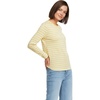 Pale Sunbeam Multi Stripe