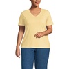 Pale Sunbeam Yellow