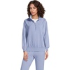 Frosted Periwinkle