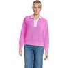 Aster Pink